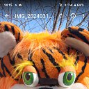 ���� �������, ������������, 54 ���� - ��������� 18 ����� 2024 � ������ ���� ����������