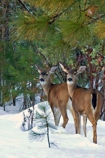 � � �������, ����� �� ����... ��, ������ ������, ��� �� ������! - 2