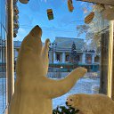 ���� ����, ������ - ��������� 13 ������ 2026 � ������ ������ ��������