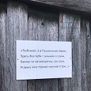 ���� ������, �����-���������, 55 ��� - ��������� 15 �������� 2025 � ������ ������ ��������