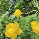 ���������� �� ������� ������25�