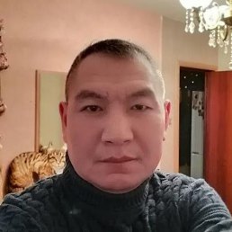 , 46, 