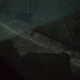 Myo, ����������, 35 ���