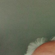 , 52 , 