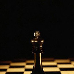 �������, ���������, 50 ���