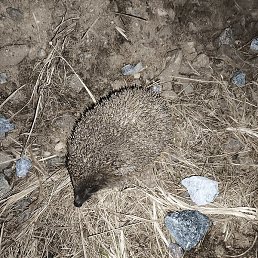 Kirill, �����-���������, 19 ���