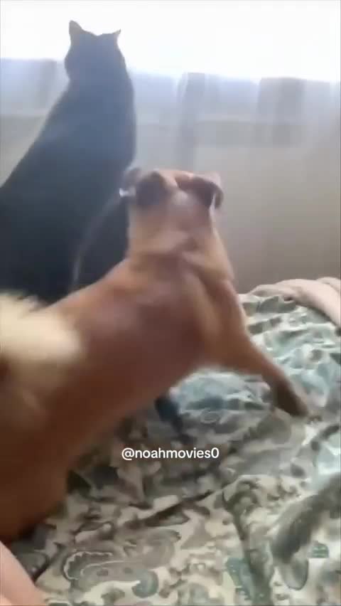 ��� �� ����� �������, ����� ������ ������ ���� ����� �������!