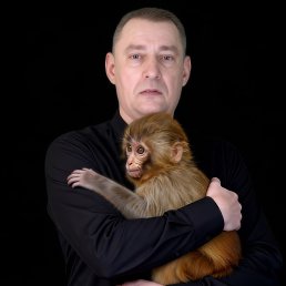 ����, ������, 54 ����