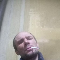 �����, �����������, 41 ���