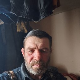 , 51 , 
