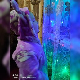 �����, ������, 32 ����