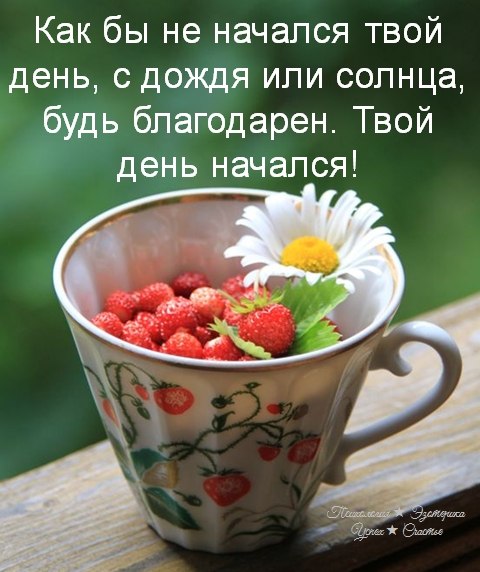 � ���������� ������ ��� ������: ���� �� ������������� � ������, ���� ������ �������� �� �����. �� ...