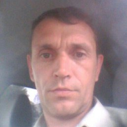 ����, ������, 46 ���