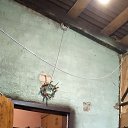 ���� �������, ��������, 50 ��� - ��������� 7 ������ 2026