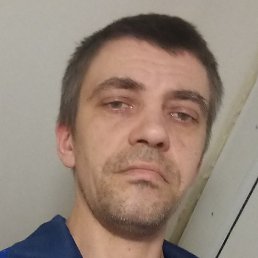 ���� ��������, ���������, 41 ���