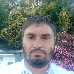 , 31, 