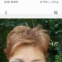 ���� �������, ���������, 52 ���� - ��������� 25 ���� 2025 � ������ ���� ����������