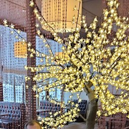 �������, ������, 50 ���