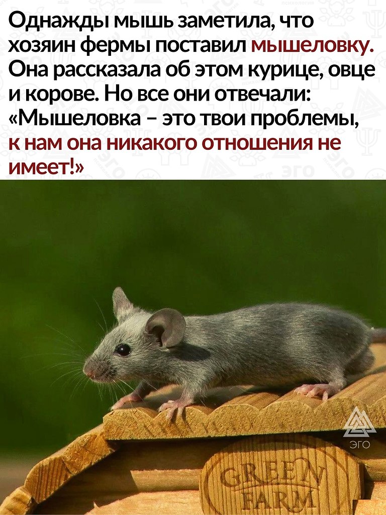  ,    ,        . ...