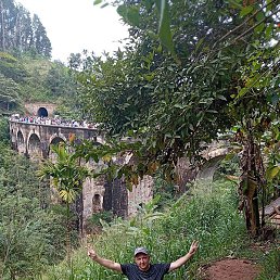 ����, �����������, 41 ���