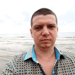 �������, 41 ���, ������