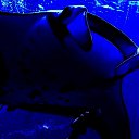 ���� Giovanni, �����-��������� - ��������� 12 ������� 2025 � ������ ������ ��������