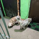 ���� �����, �������, 55 ��� - ��������� 29 ����� 2025 � ������ ���� ����������