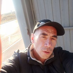 ����, �����, 41 ���