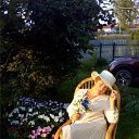 ���� Nata, �������� - ��������� 12 ������ 2026 � ������ ���� ����������