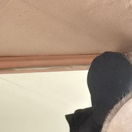 ������, �������, 57 ���