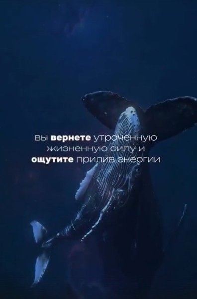 Частотность звуковых волн измеряется в герцах. Ученые доказали, что звучать может буквально все, но ... - 2