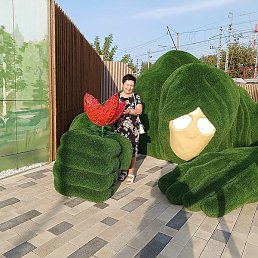 ���������, ��������, 66 ���