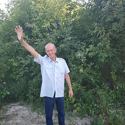 ˸��, �����-���������