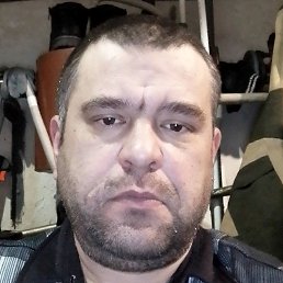 �����, �����������, 41 ���