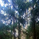  ,  , 43  -  27  2025