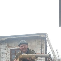 ���� �������, ��������, 50 ��� - ��������� 7 ������ 2026