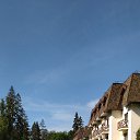 ���� �������, ����, 54 ���� - ��������� 6 ���� 2025 � ������ ���� ����������