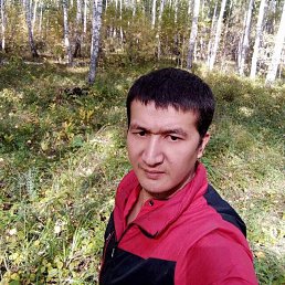 , 33, 