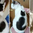 ���� �������, �������, 58 ��� - ��������� 18 ������ 2025 � ������ ������ ��������