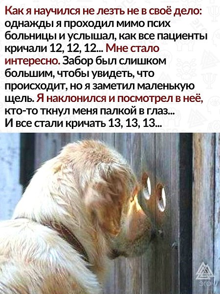 Совать нос в чужие дела может быть опасно для здоровья