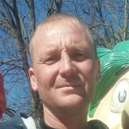 �������, ����������, 41 ���