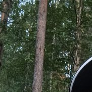 ���������, 34 ����, ������