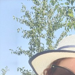 �����, ������, 52 ����