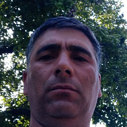 �����, �����������, 44 ����