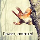 ���� ���������, ������, 48 ��� - ��������� 21 ���� 2026 � ������ ���� ����������