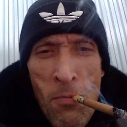 �������, ��������, 49 ���