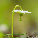 ���� ������, �������, 54 ���� - ��������� 18 ������ 2025 � ������ ����������� ������