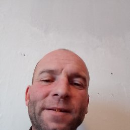 ���� �����, �����������, 43 ���� - ��������� 7 ������ 2023