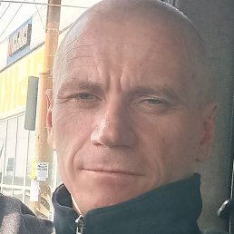 �������, �������, 41 ���