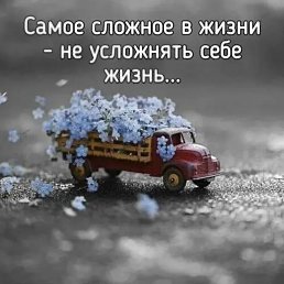 ���� ����, ������, 50 ��� - ��������� 30 ������ 2026